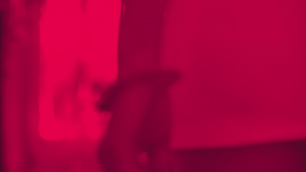 Kelli's OnlyFans Coaching and Consulting