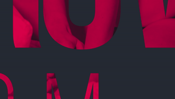 Kelli's OnlyFans Coaching and Consulting